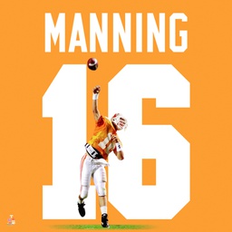 Biggsports Peyton Manning Tennessee Volunteers 20x20 Framed Uniframe Jersey Photo 